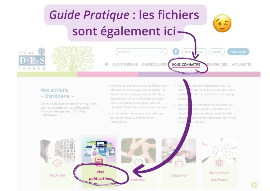 Fichier Guide Pratique Distilbene Rubrique Publications Reseau DES France